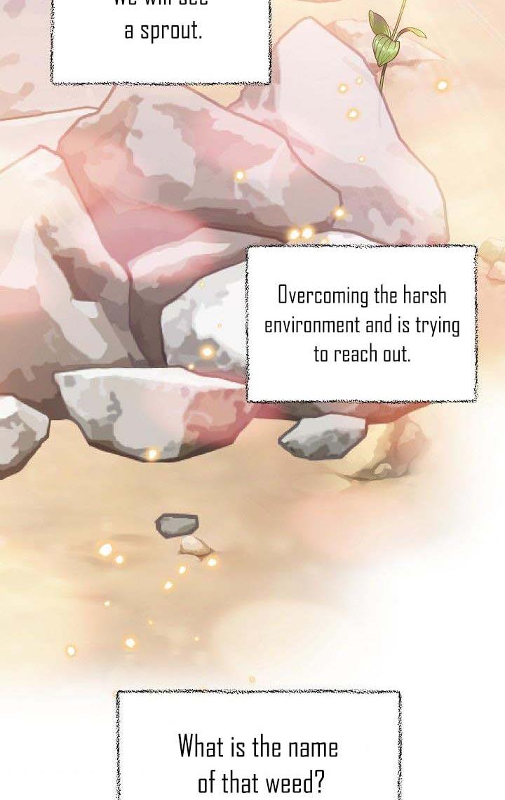 Page 88 of Chapter 38
