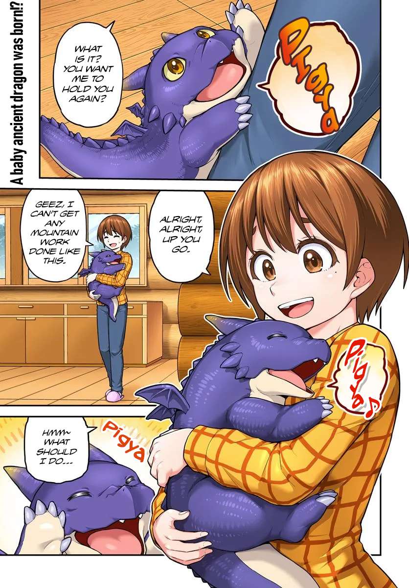 Page 2 of Chapter 11