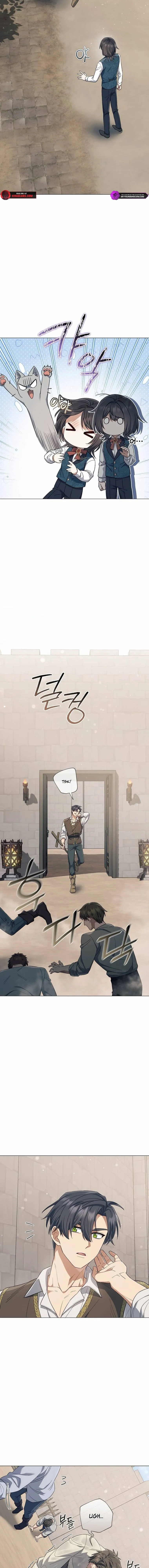 Page 14 of Chapter 11