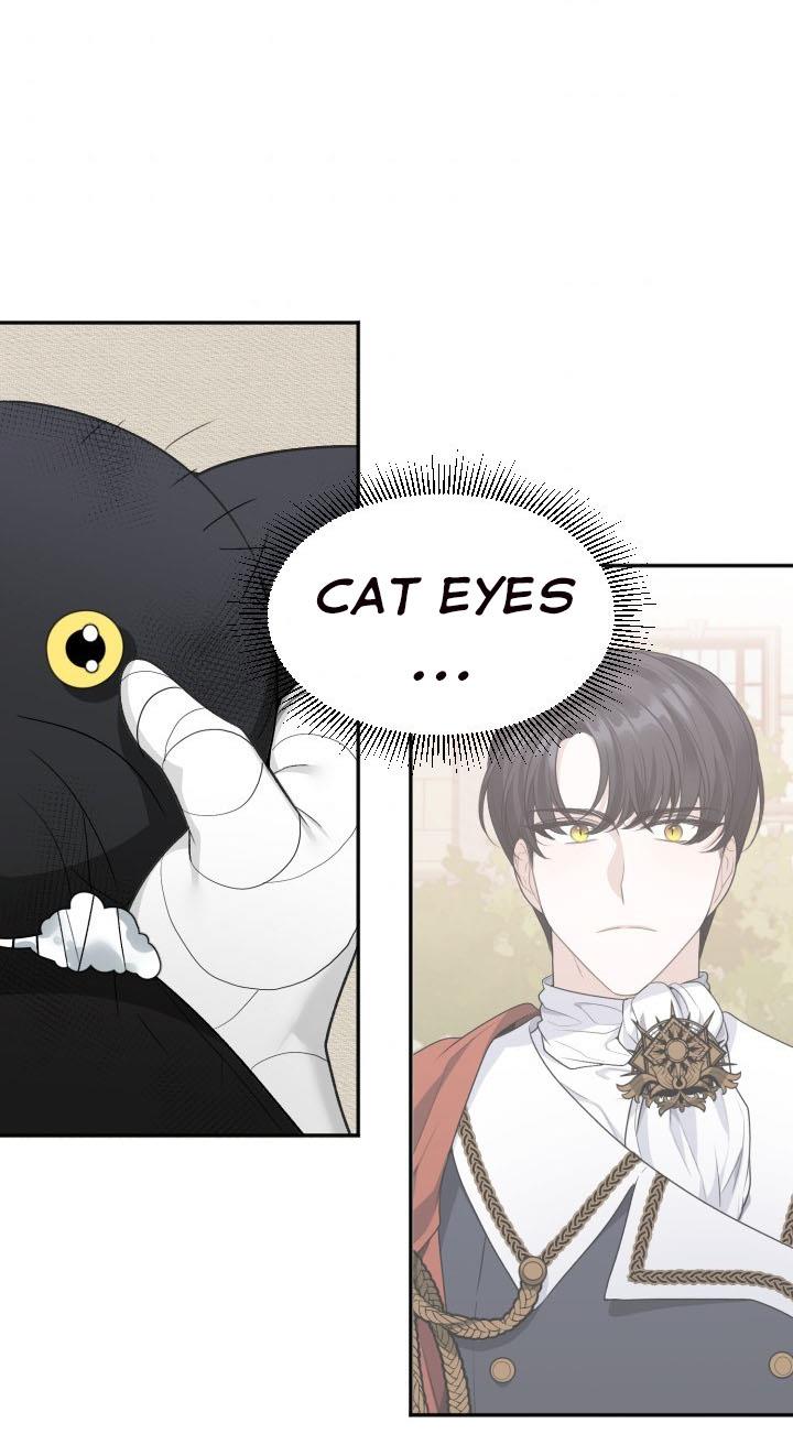 Page 56 of Chapter 4