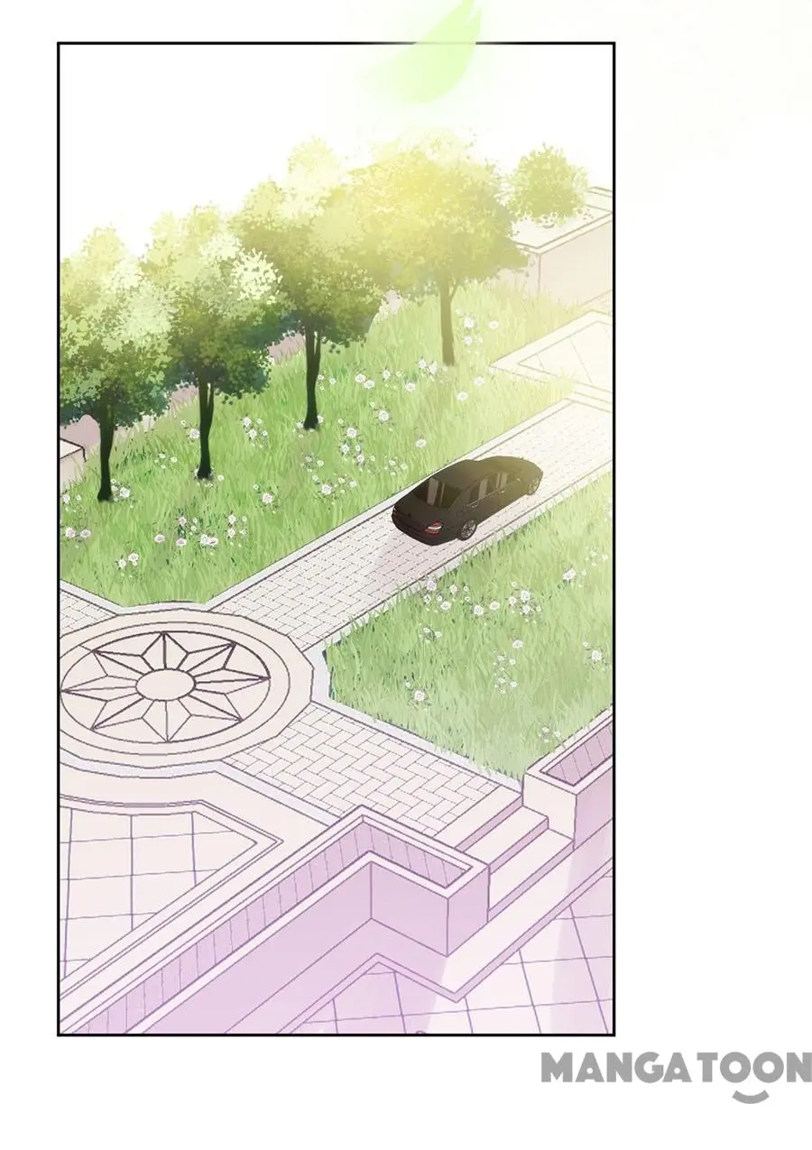 Page 25 of Chapter 126