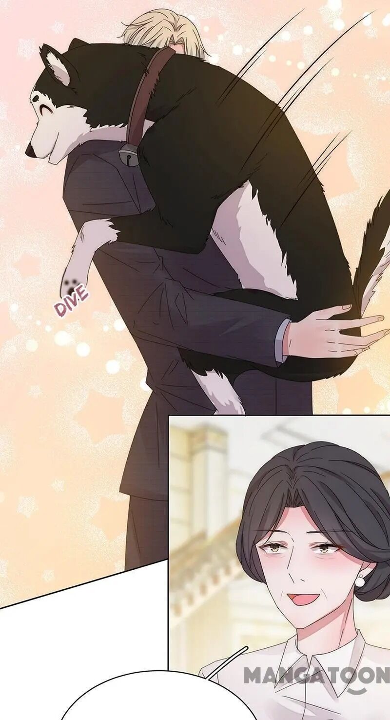Page 20 of Chapter 151