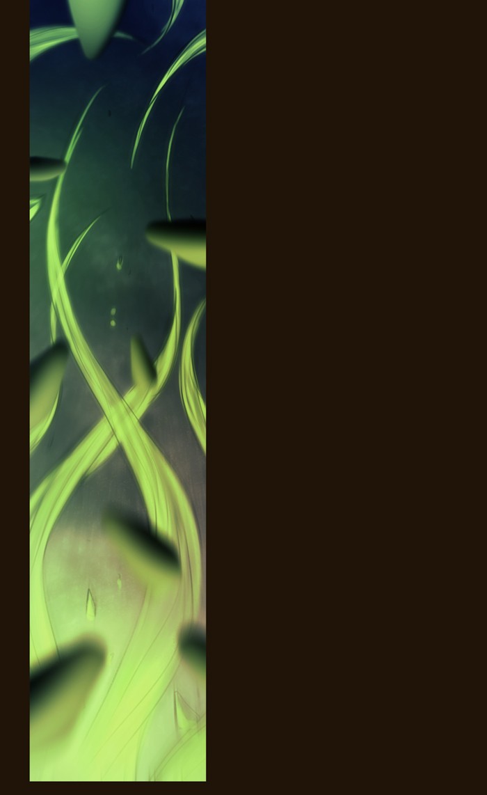 Page 13 of Chapter 333