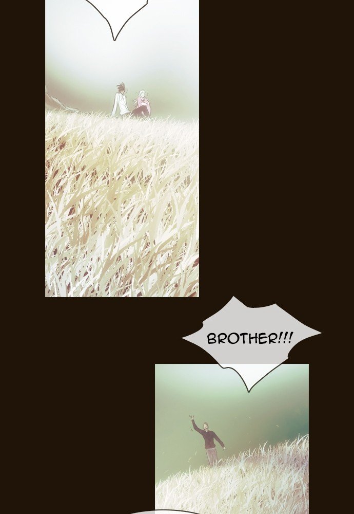 Page 41 of Chapter 364