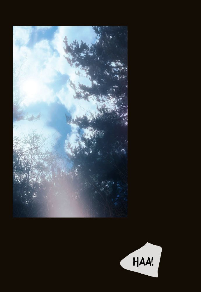 Page 17 of Chapter 66