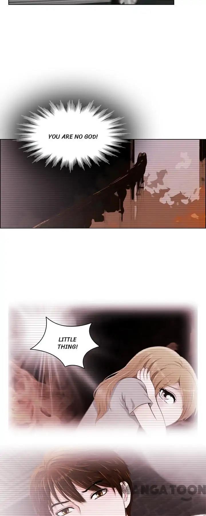 Page 14 of Chapter 17