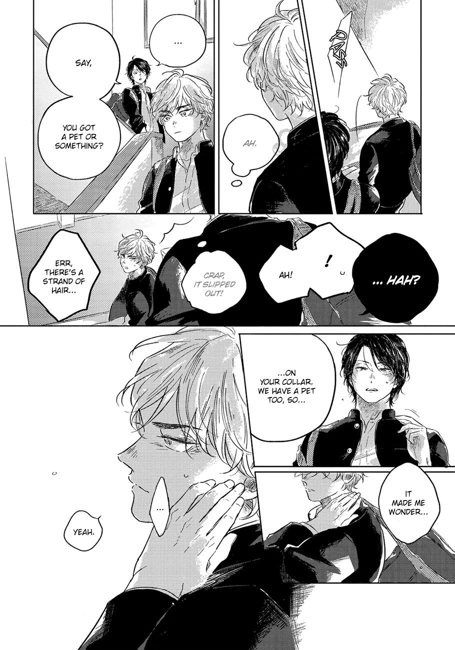Page 22 of Chapter 1