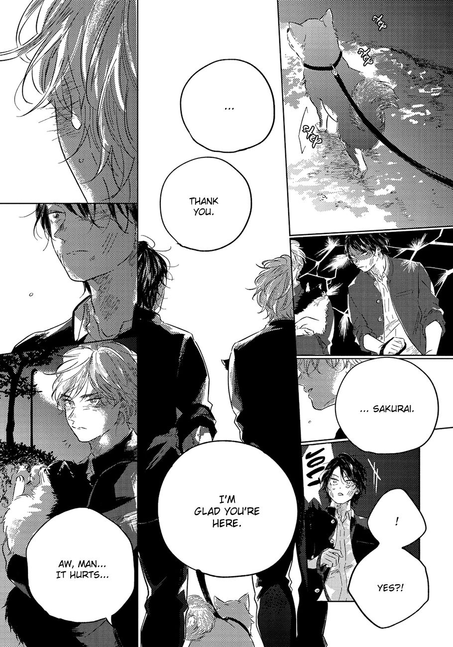 Page 19 of Chapter 5