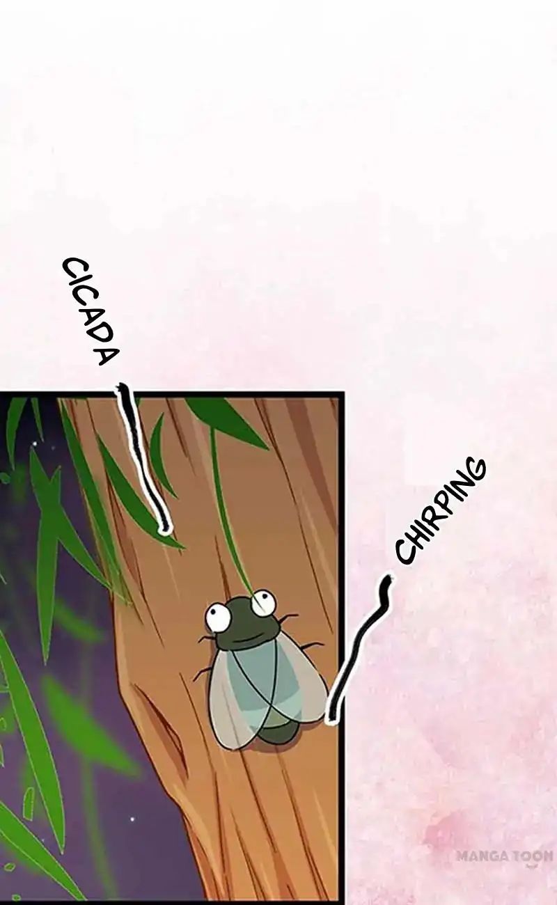Page 1 of Chapter 19