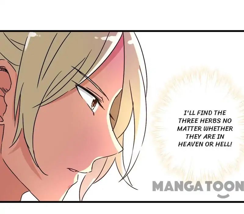 Page 13 of Chapter 204