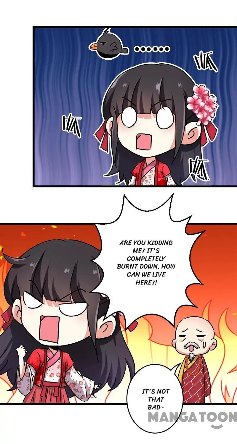Page 3 of Chapter 243