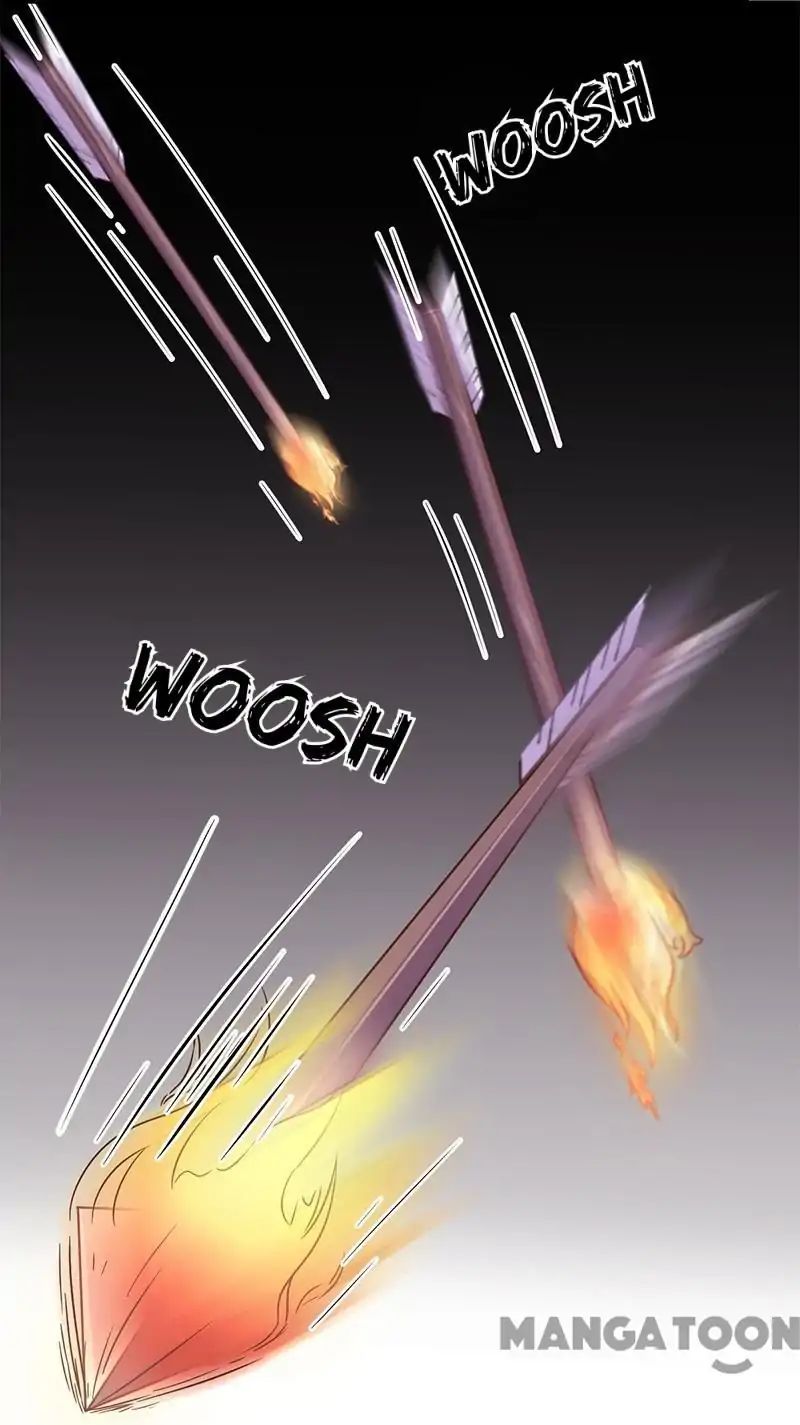 Page 14 of Chapter 253