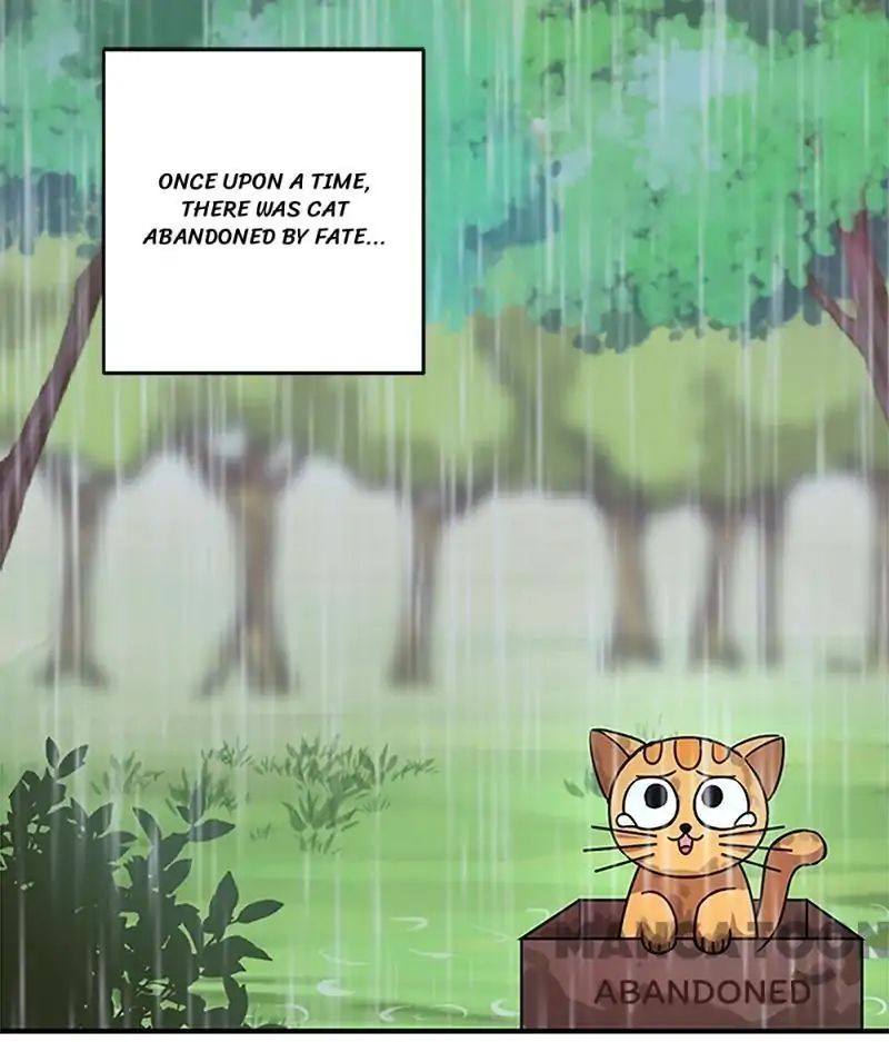 Page 1 of Chapter 296