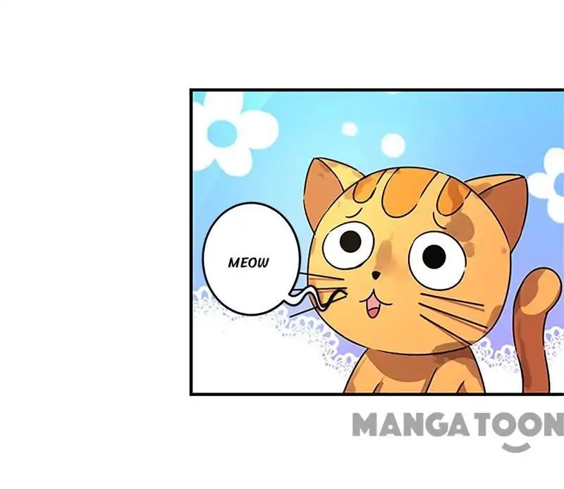 Page 3 of Chapter 296