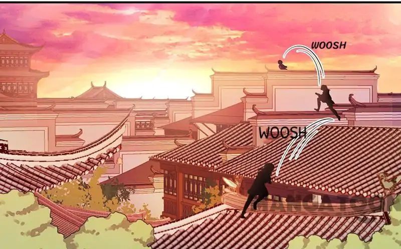 Page 24 of Chapter 316