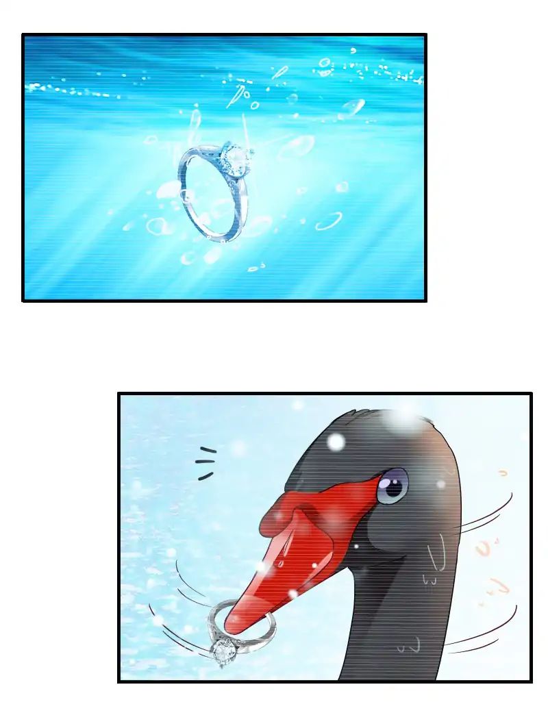 Page 15 of Chapter 5
