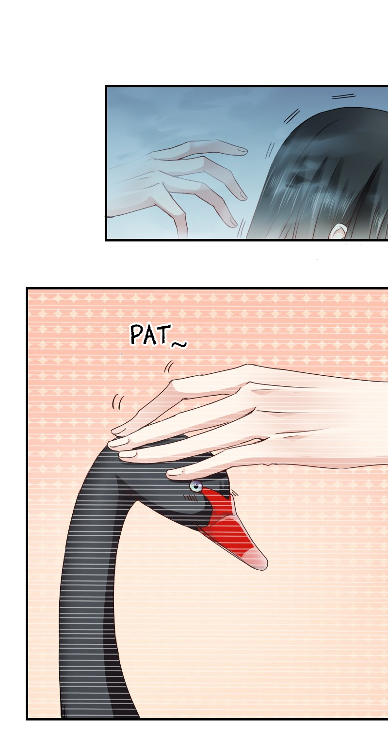Page 20 of Chapter 7
