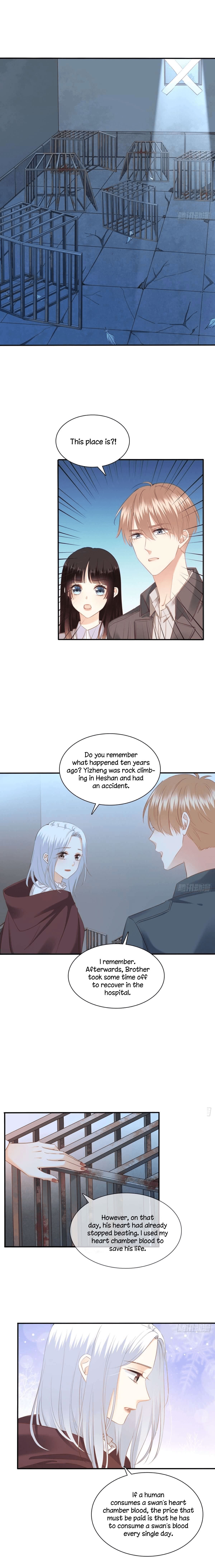 Page 8 of Chapter 95