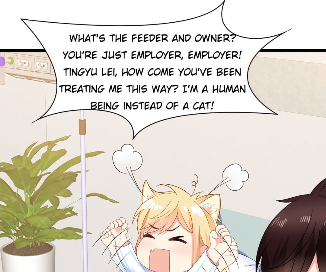 Page 19 of Chapter 42