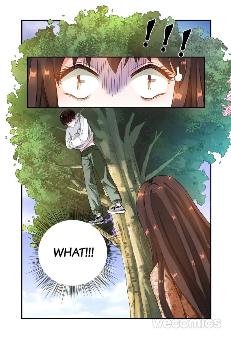 Page 6 of Chapter 38