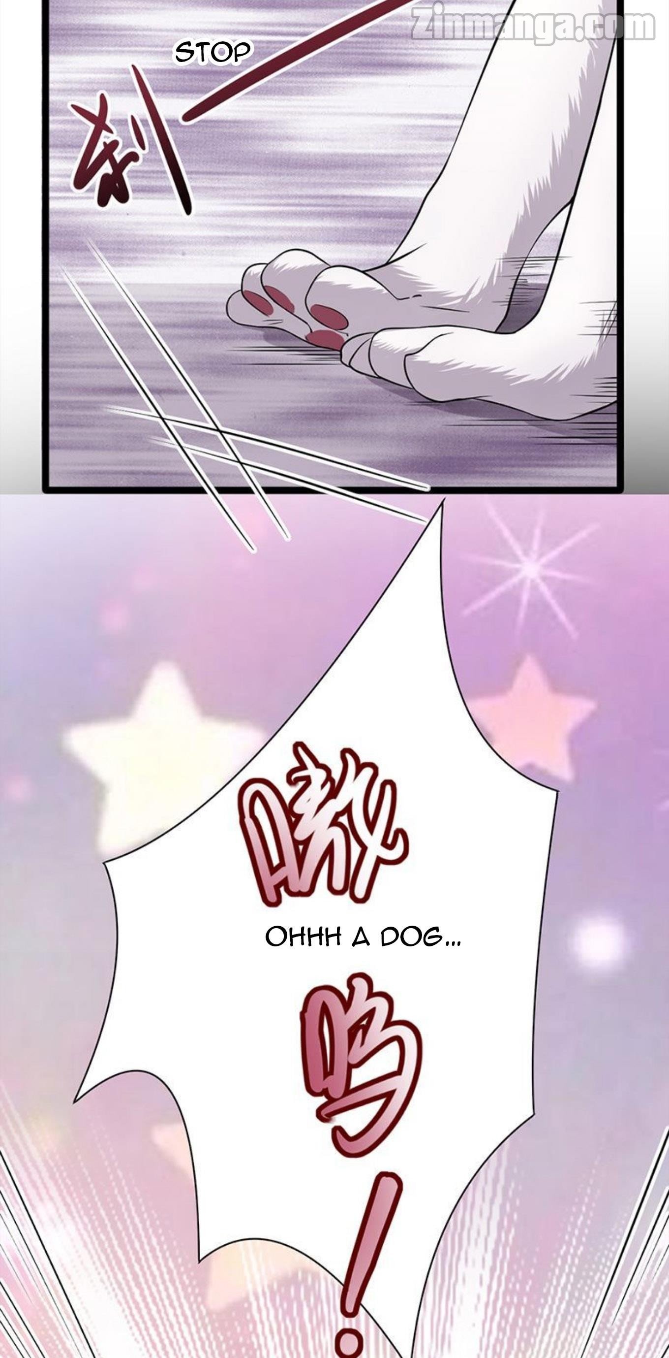 Page 19 of Chapter 25