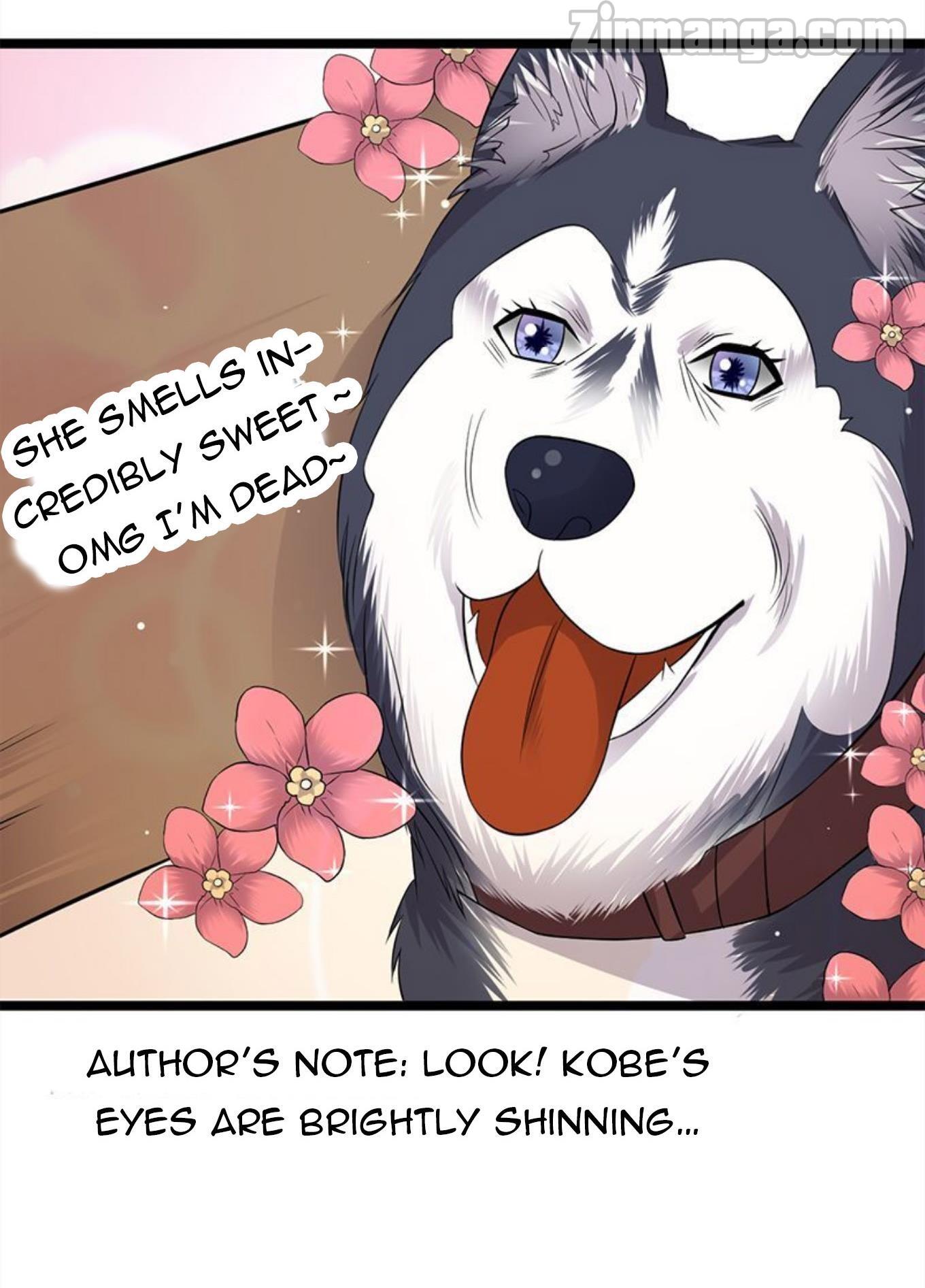Page 13 of Chapter 26