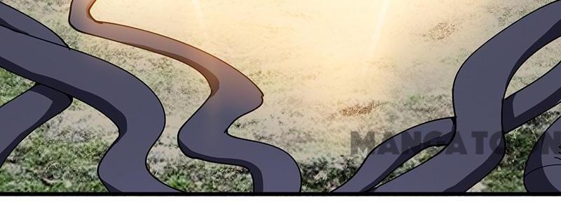 Page 14 of Chapter 29