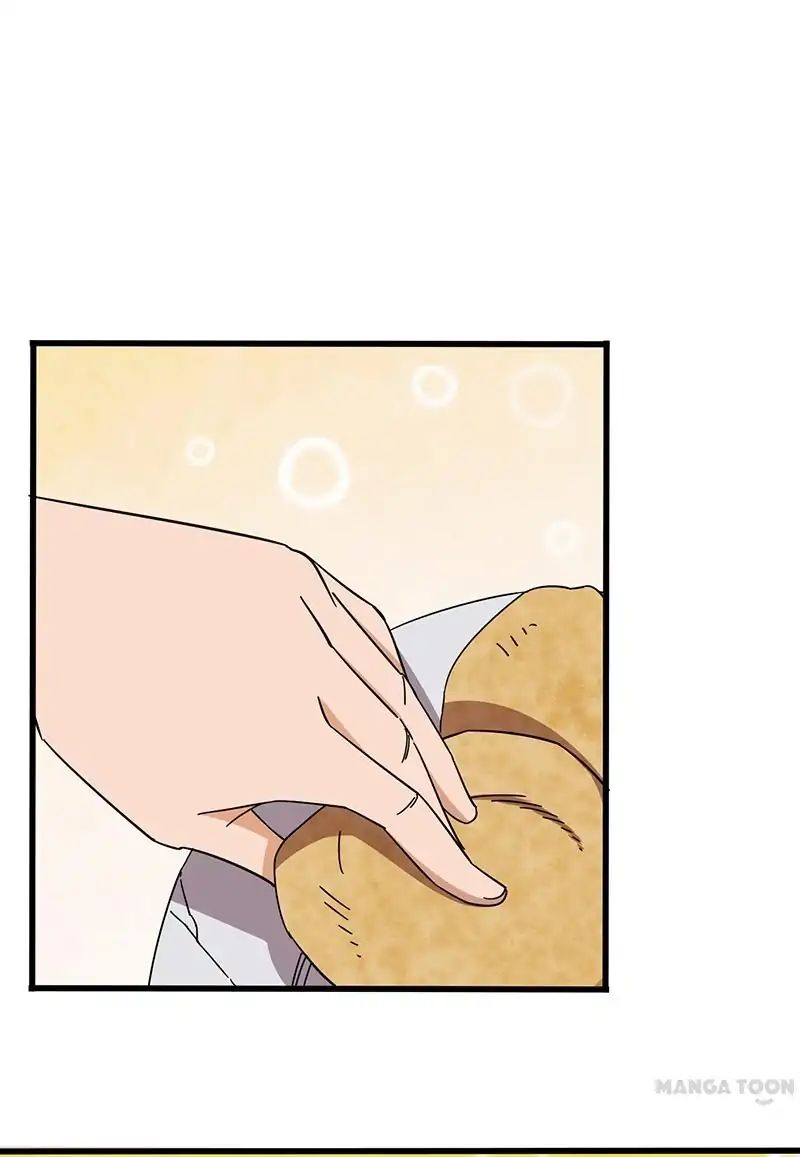Page 22 of Chapter 4