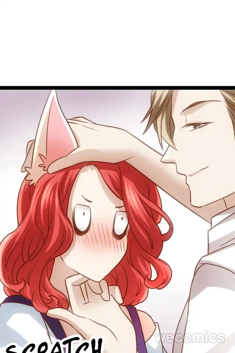 Page 20 of Chapter 2