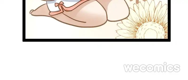 Page 41 of Chapter 3