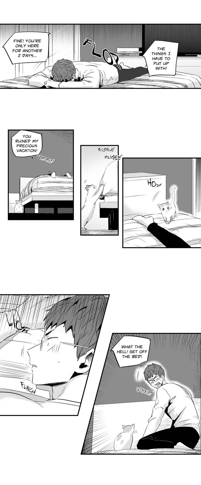 Page 14 of Chapter 41