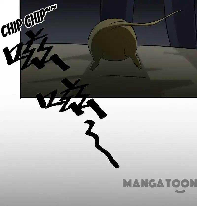 Page 25 of Chapter 106