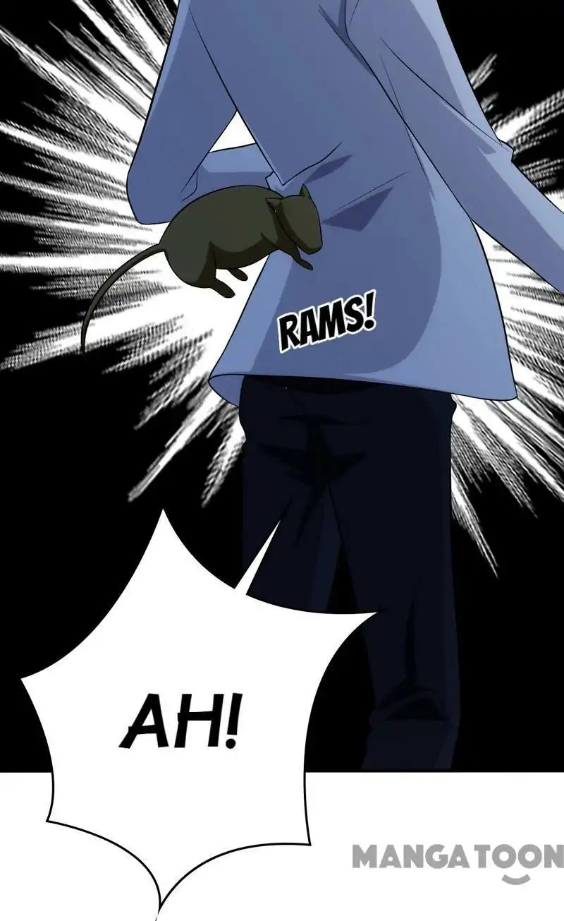 Page 27 of Chapter 106