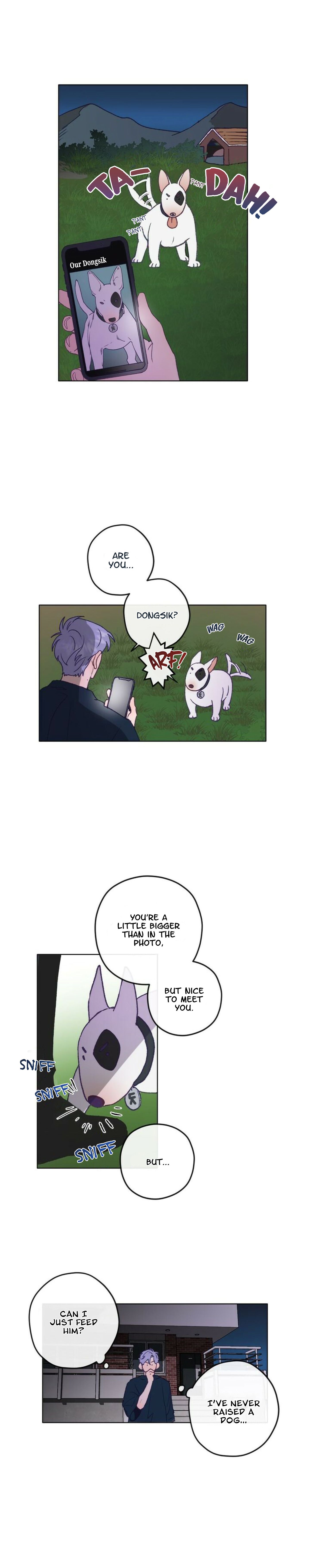 Page 21 of Chapter 1