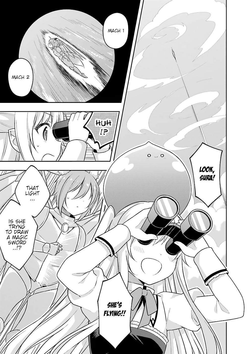 Page 24 of Chapter 17