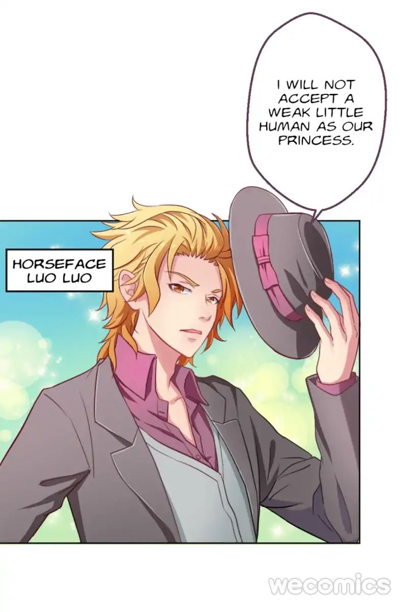 Page 41 of Chapter 1