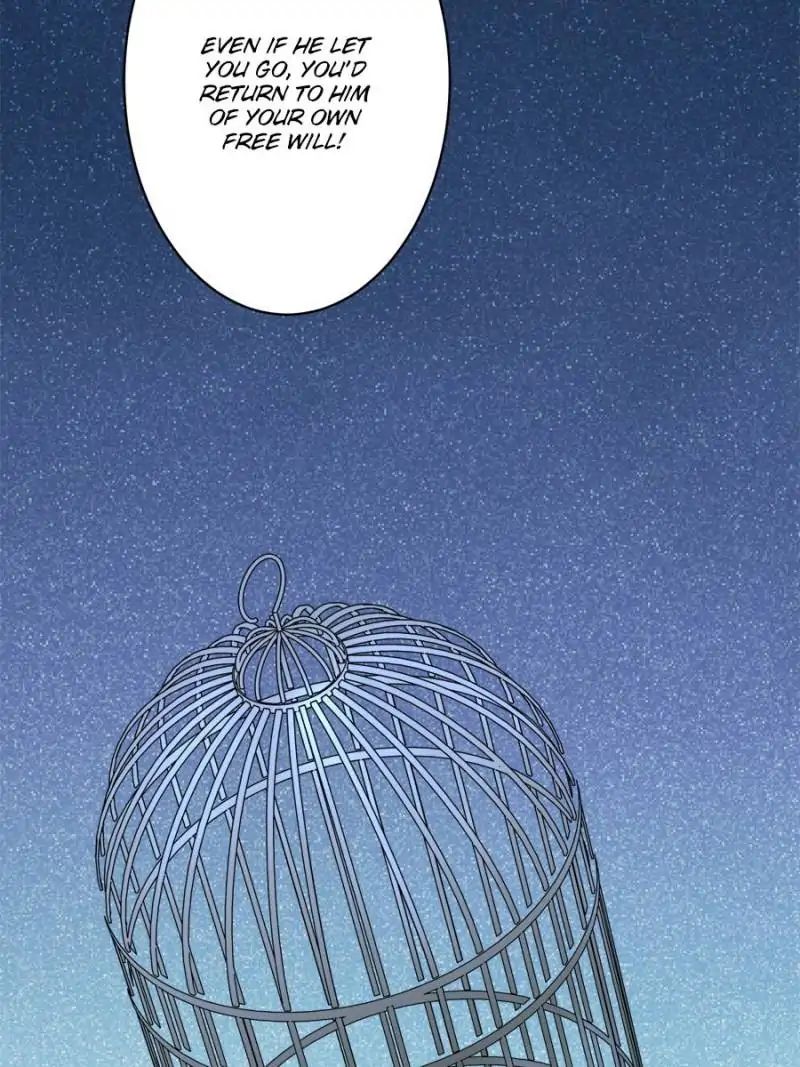 Page 28 of Chapter 13