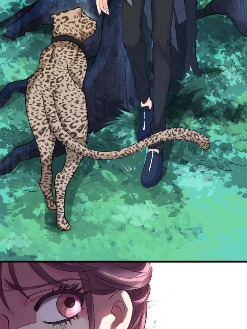 Page 36 of Chapter 15