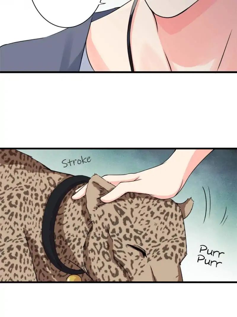 Page 38 of Chapter 15