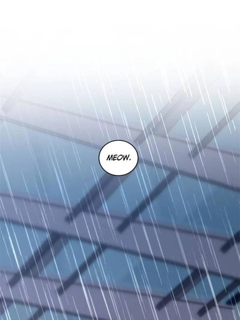 Page 55 of Chapter 185