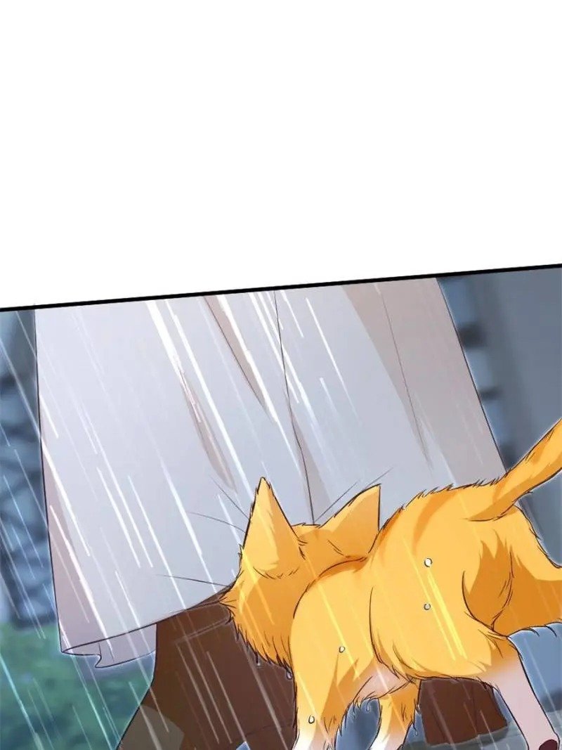Page 58 of Chapter 185