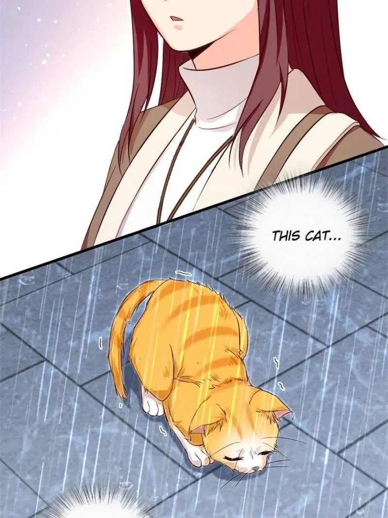 Page 62 of Chapter 185