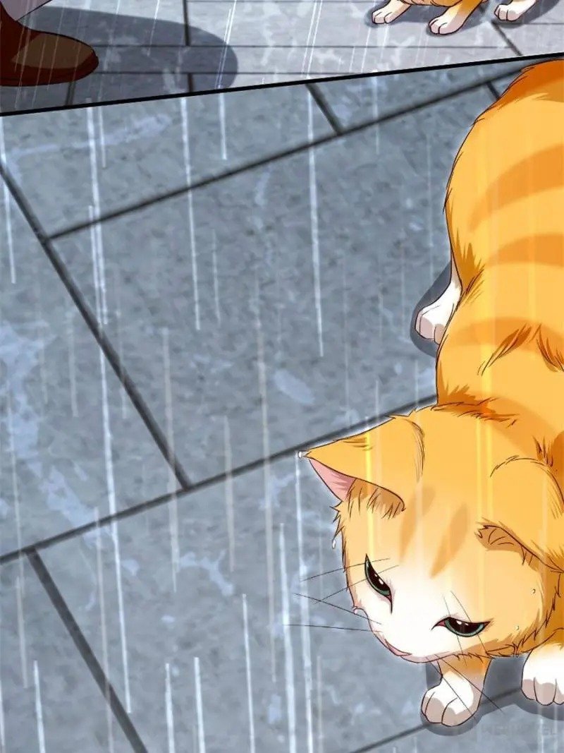 Page 65 of Chapter 185