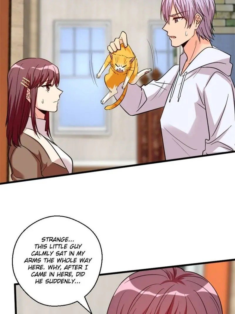 Page 24 of Chapter 186