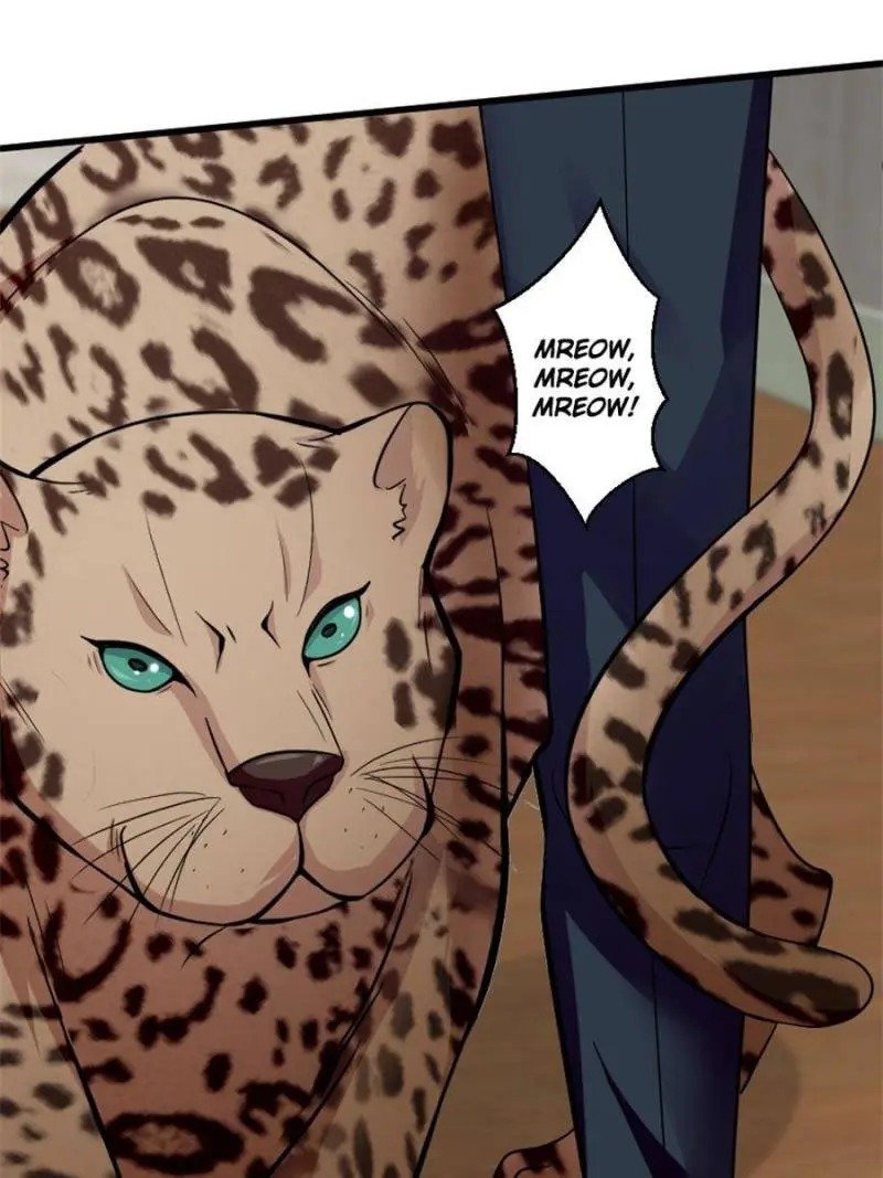 Page 27 of Chapter 186