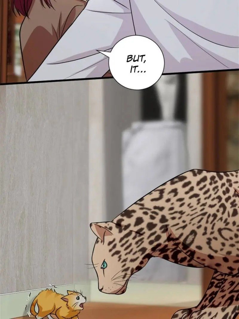 Page 31 of Chapter 186