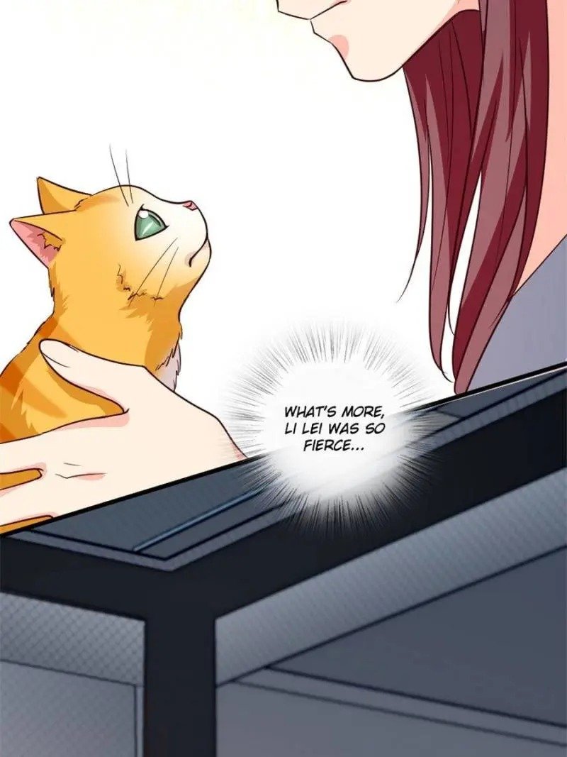 Page 40 of Chapter 186
