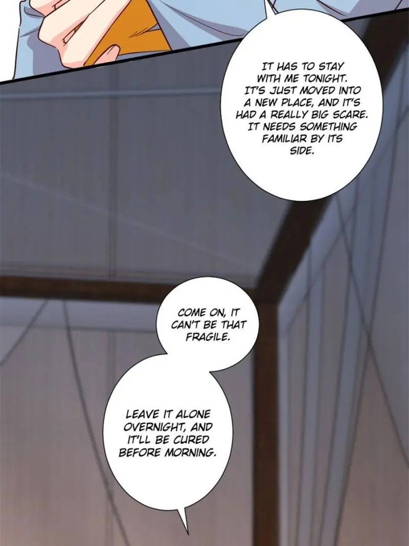 Page 46 of Chapter 186