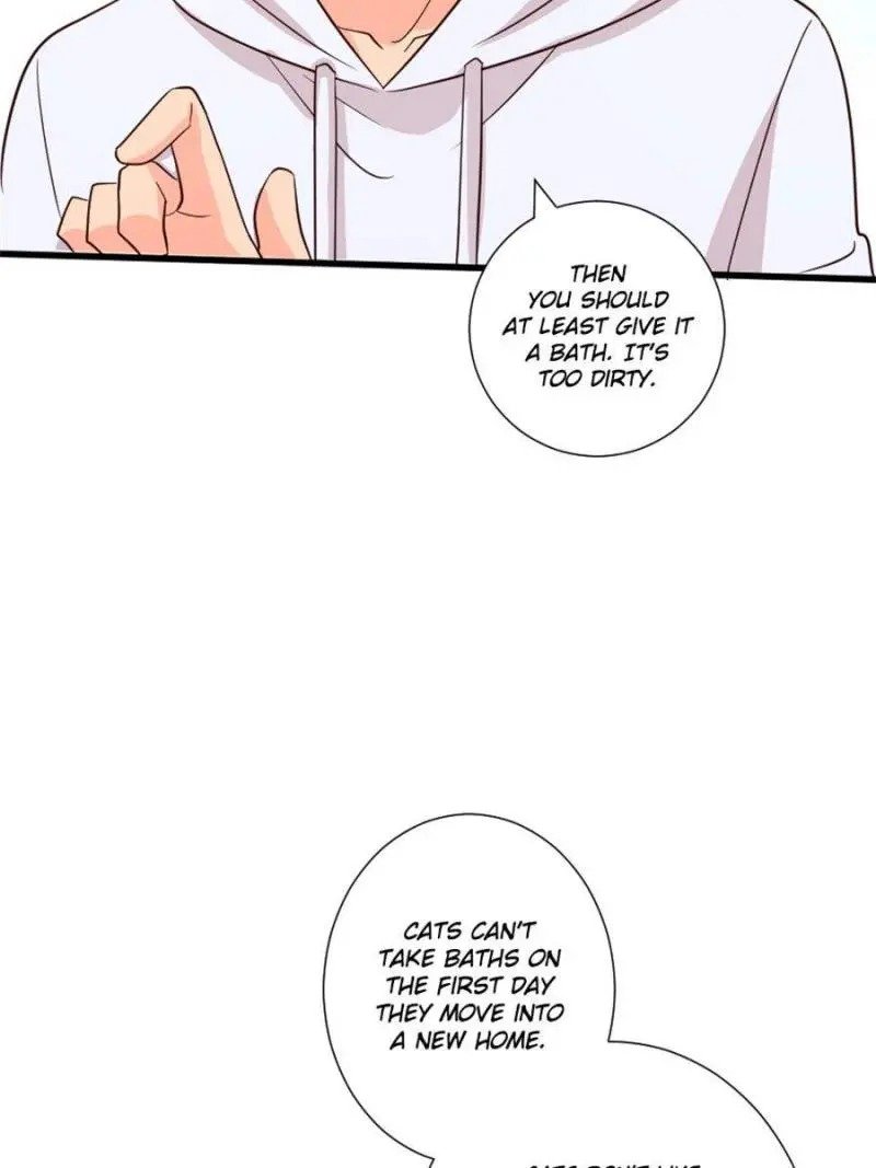 Page 55 of Chapter 186