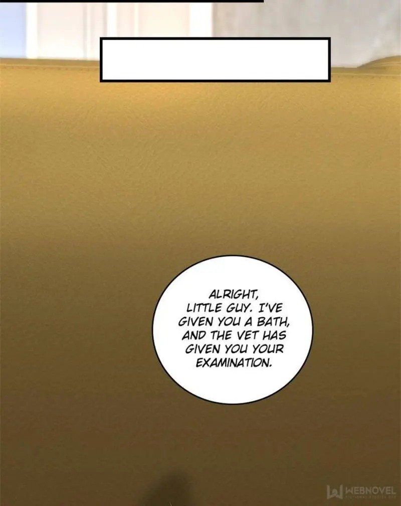 Page 27 of Chapter 187